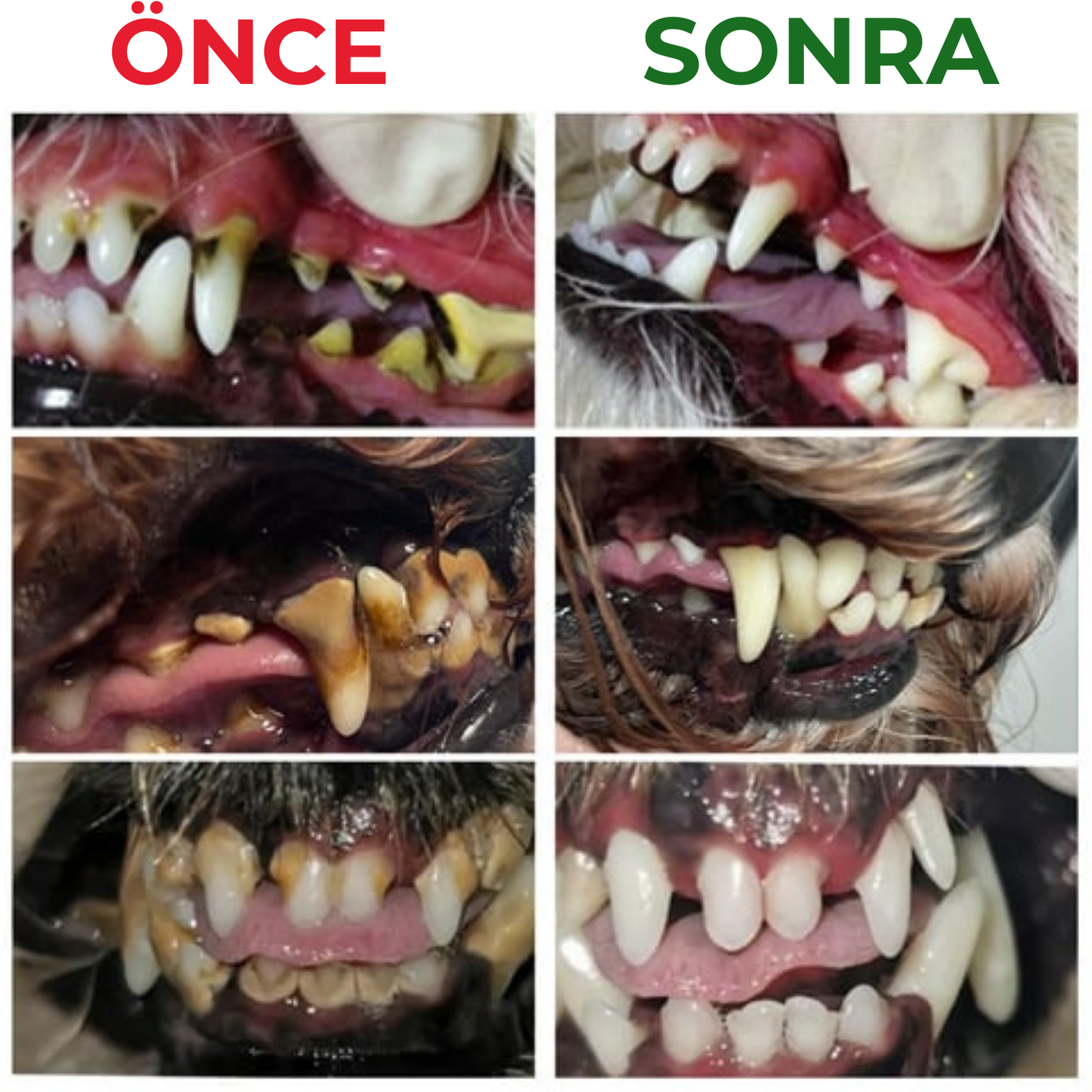 PawSafe® - Ferah Nefes Evcil Hayvan Ağız Bakım Jeli